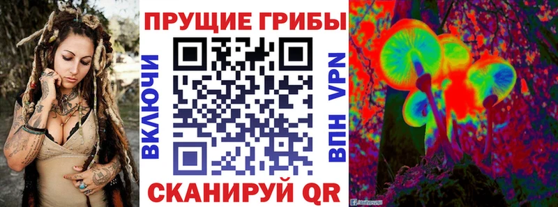 Псилоцибиновые грибы GOLDEN TEACHER  дарк нет как зайти  Балашов 
